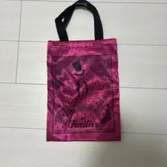 ディズニーランド　villains