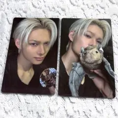 ニキ　封入　トレカ　THE SIN VANISH FORBIDDEN