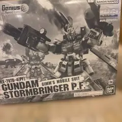 ガンプラ mg ガンダムストームブリンガー P.F. 新品 未組立 内袋未