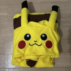 ピカチュウ着グルミ