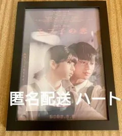 松山千春 ふわりふわり パンフ＆十勝ライブDVD クリアファイル セット