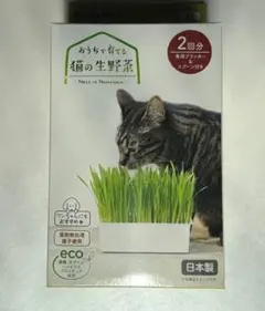 CattyMan 고양이 풀 재배 키트, 2인분, 생고양이 채소, 일본산