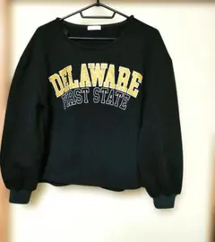 DELAWARE FIRST STATE トレーナー 深緑