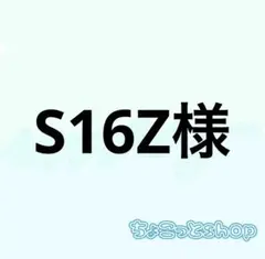 S16Z様