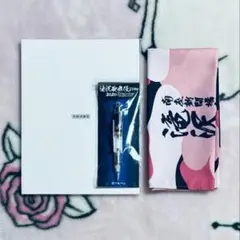 滝沢歌舞伎ZERO パンフレット ボールペン 手ぬぐい SnowMan