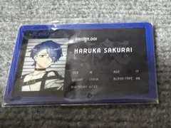 ミルグラム ムウ 在監証明 カード ミルグラム ムウ 在監証明 カード - メルカリ
