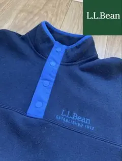 90年代復刻！L.L.Bean スナップT ハーフ　パタゴニア　フリース