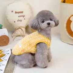 Item thumbnail for item 2da6d08c-a5f3-4e42-a2fd-9ecbd7ebfbd4