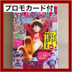 東*姫様 週刊少年ジャンプ ONE PIECE ルフィ ニカ 表紙まとめ売り