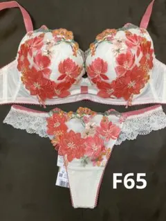 新品　ワコール　サルート　81G ちはやふる　F65 ソングM