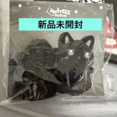 ATEEZ アチズ ウヨンANITEEZ POPUP ペンライトストラップ