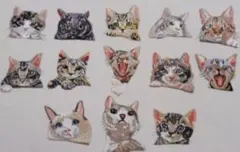 猫の刺繍をしたアイロンワッペン 13種類セット