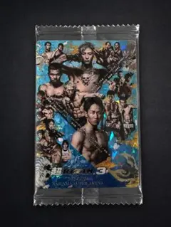2026年最新】rizin カード シークレットの人気アイテム - メルカリ