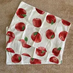 Item thumbnail for item 16aa1581-8403-435a-b340-61f2604f4a51