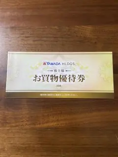 YAMADA HDGS. お買物優待券 500円 10枚