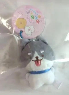 ぺろりんわんわんず　ぷちマスコット　はすきー　ぬいぐるみマスコット　新品タグ付き