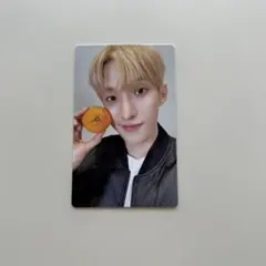 SEVENTEEN ドギョム カウントダウン ライブ DxS Serenade