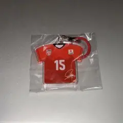 【最終値下げ】バレーボール男子日本代表 甲斐優斗 めじるしチャーム