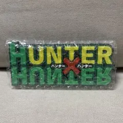 【最安値⭐︎新品未使用】ロゴ　フィギュア　ディスプレイ　ハンターハンター