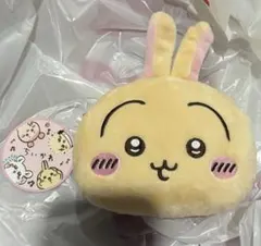 ちいかわ ぬいぐるみパスケースポーチ② うさぎ