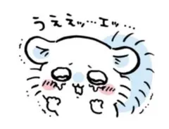 Satuki＊様専用出品