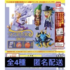 2025年最新】ワンピの実まとめ売りの人気アイテム - メルカリ