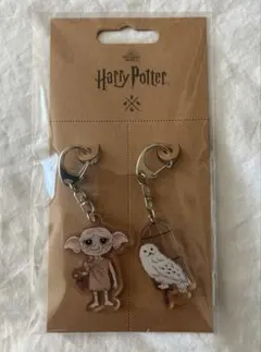 Harry Potter アクリルキーホルダー 2個セットのサムネイル