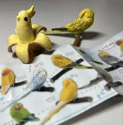 2026年最新】バナナインコの人気アイテム - メルカリ