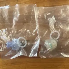 めじるしアクセサリー ポケモン