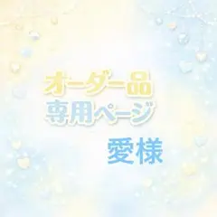 愛様専用オーダーページ水色ホイップデコトレカケースB 8