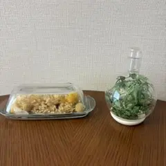 インテリア　ドライフラワー 観葉植物　ガラス製