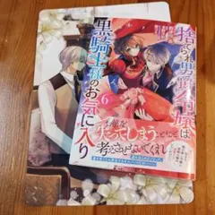 捨てられ男爵令嬢は黒騎士様のお気に入り 6