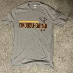 USA古着　Under Armour チームTシャツ S