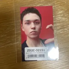 SEVENTEEN HBD ユニバ特典トレカ バーノン
