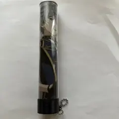 瀬名泉 ペンラチューブ