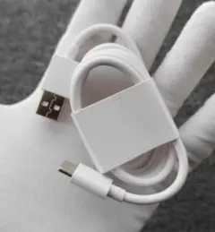 USB-C 充電ケーブル ホワイト