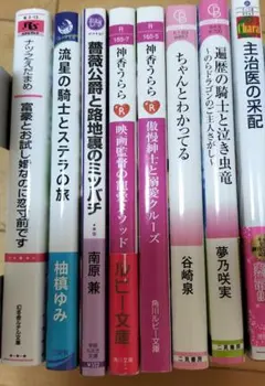 Eセット bl小説まとめ売り　8冊