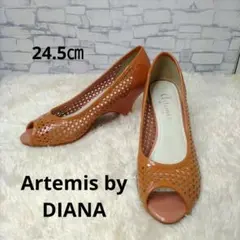 【美品】アルテミスバイダイアナ メッシュ オープントゥパンプス レザー 24.5
