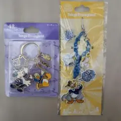 東京ディズニーランド キーチェーン&ストラップ２点