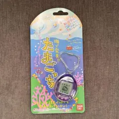 【美品・動作確認済み】海で発見!！たまごっち　パープル