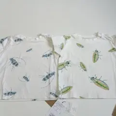 インセクトコレクション Tシャツ2枚セット 昆虫柄 85cmのサムネイル