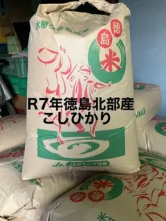 令和7年 栃木県産 コシヒカリ 20kg 20キロ　玄米 令和7年 栃木県産 コシヒカリ 20kg 20キロ 玄米 - メルカリ