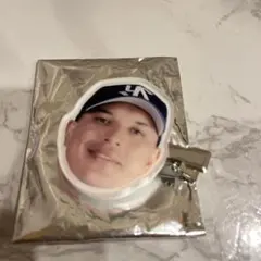 スワポン 応援グッズ