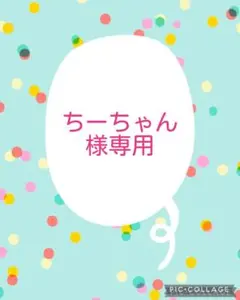 【ちーちゃん様専用】オーダーページ
