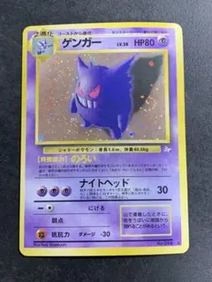 旧裏 ゲンガー、ピカチュウ　アルビ様専用