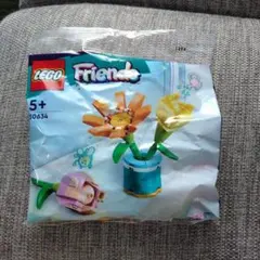 LEGO Friends 30634 フラワー 花 レゴ フレンズ　&　巾着