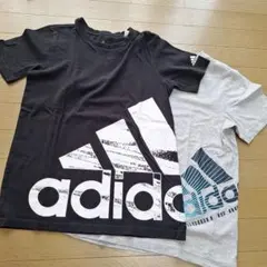 adidas 半袖Tシャツ 2枚セット 160㎝