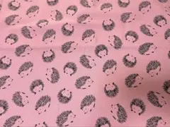 Item thumbnail for item 452cfc3c-a0f7-4220-85dc-3bd0fffca9e2