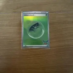 ポケモンカード 基本草エネルギー キラ