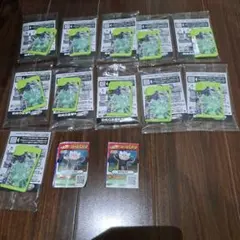 ポケモンフレンダ ジガルデ スペシャルピック 11枚セット